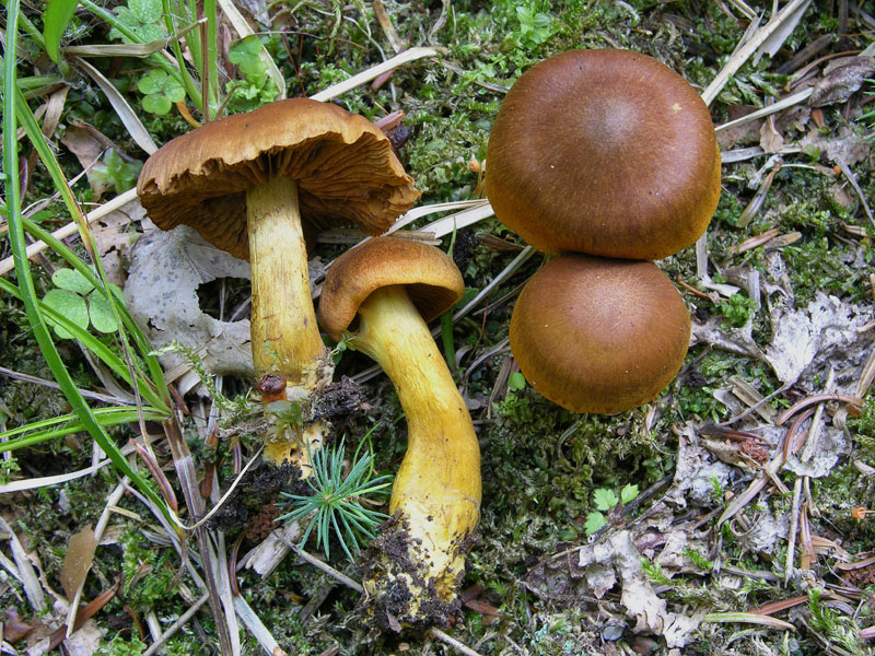 Ritrovamenti del 17 agosto.